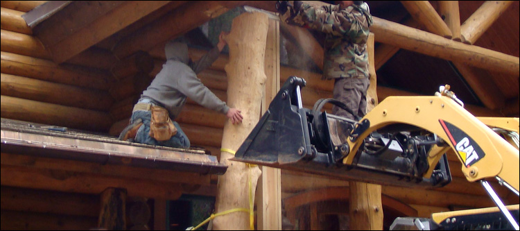 Log Home Log Replacement  Calloway County, Kentucky