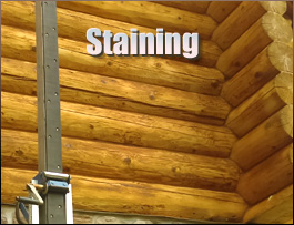  Calloway County, Kentucky Log Home Staining